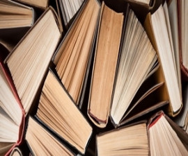 XBM xerrem de llibres.jpg