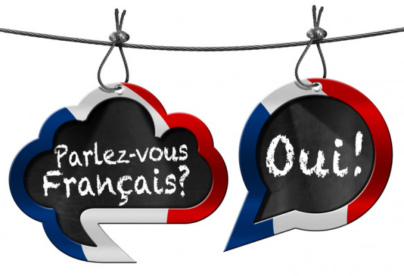 Francès .jpg